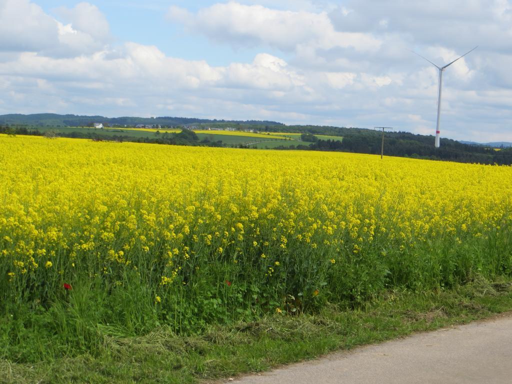 Ferienwohnung Wagner 4 Sterne Neef Exteriér fotografie